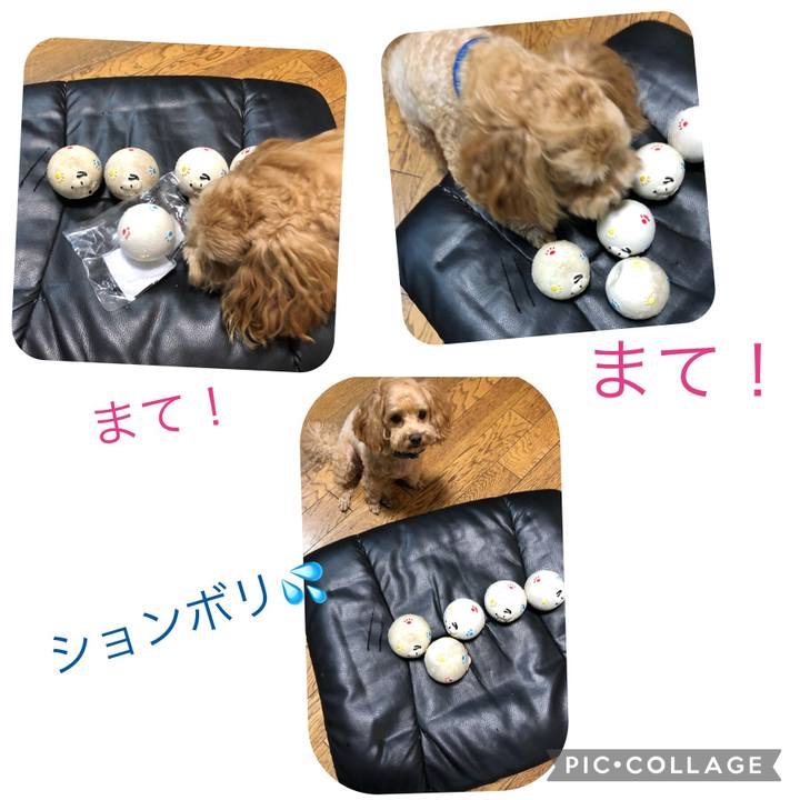 Fbbcd4fb 4537 40ac ae54 c7df5735456f 1631568349226