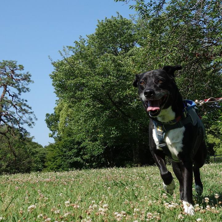 Fbbd0c83 a63a 4a5e a4da 68b63028018e 1717809108274