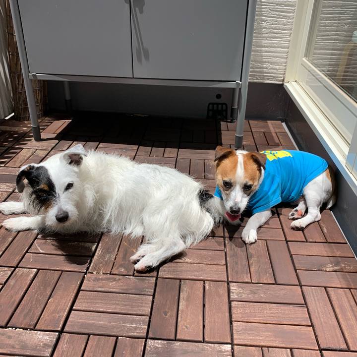 Fbbd2423 408b 4713 91f5 34b237343ee2 1592880020112