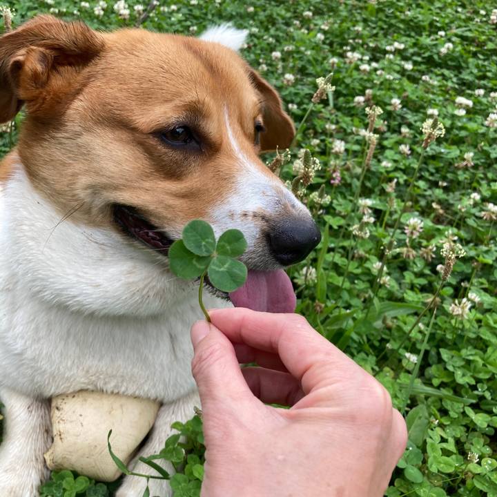 Fbbd5d6d 07bc 42f7 9a1d e5f8772d217f 1655374476507