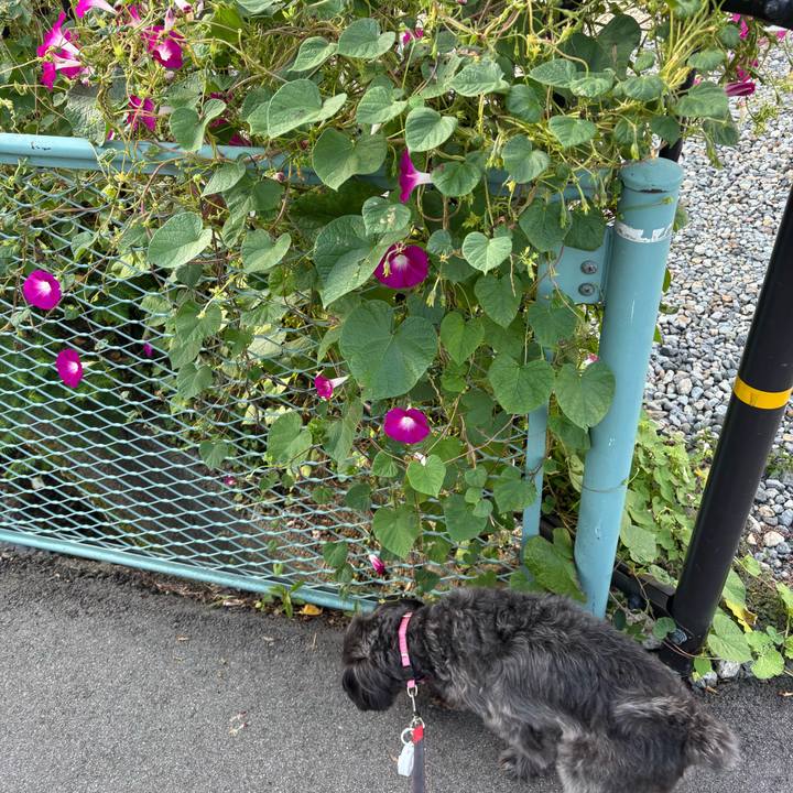 Fbbd5f66 ff5d 4454 8b40 ff461676e3a3 1758978884295