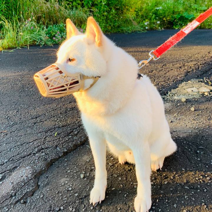 Fbbd90d6 1506 4a2f bb57 a8e9748c4f5d 1594240519777