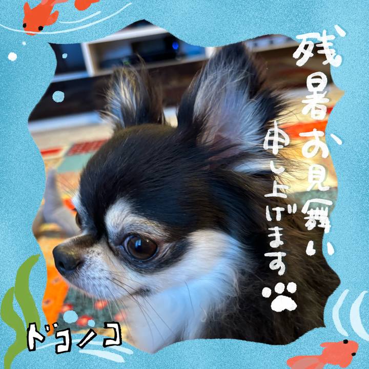 Fbbda09d 58c7 4fc0 99ac 84282197c29d 1723391802594