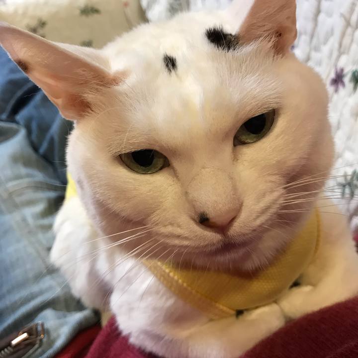 Fbbda288 4c43 4e4b b71f d21ef8cfae41 1643373893767