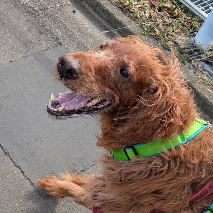 Fbbdb3b4 a7b9 4e75 8285 e92c44b9d1db 1773122844611