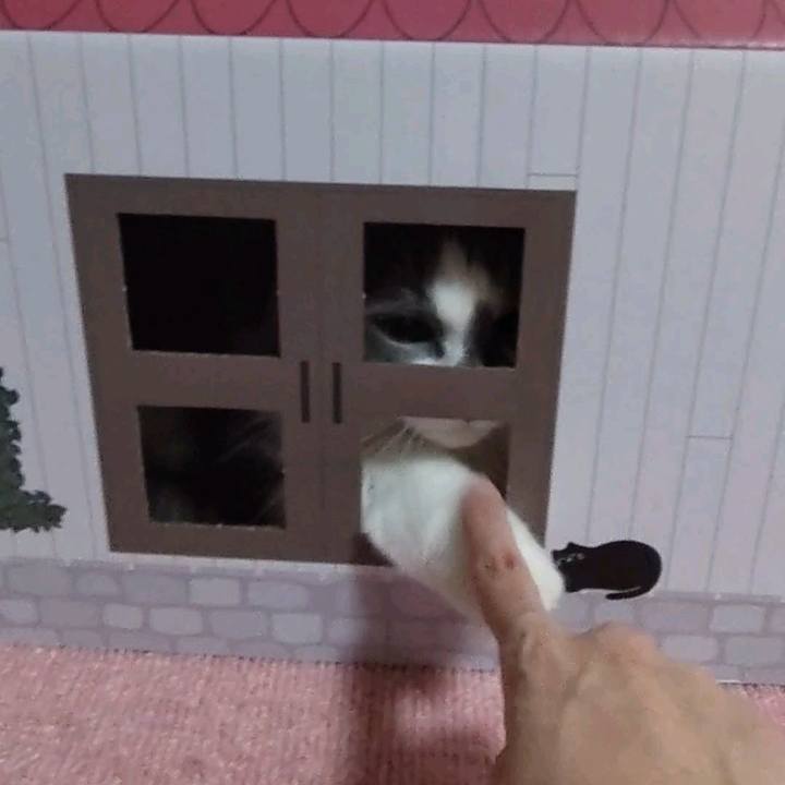 Fbbdf3bf 4075 4e72 9d1a b2d70479866f 1661341902588