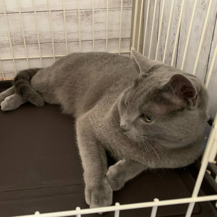 Fbbe13ec 7899 4dd6 9946 b51253cd5847 1586386221562