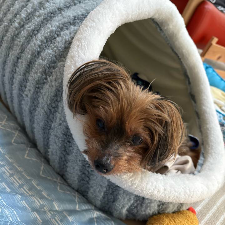 Fbbe5955 949a 467b 9735 1bd10683dc8a 1730270852408