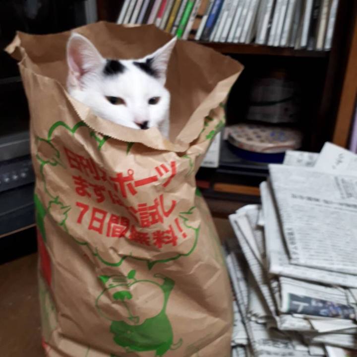 Fbbe78fa 1c39 4f48 9fbc fc0e15283fbe 1555675977591