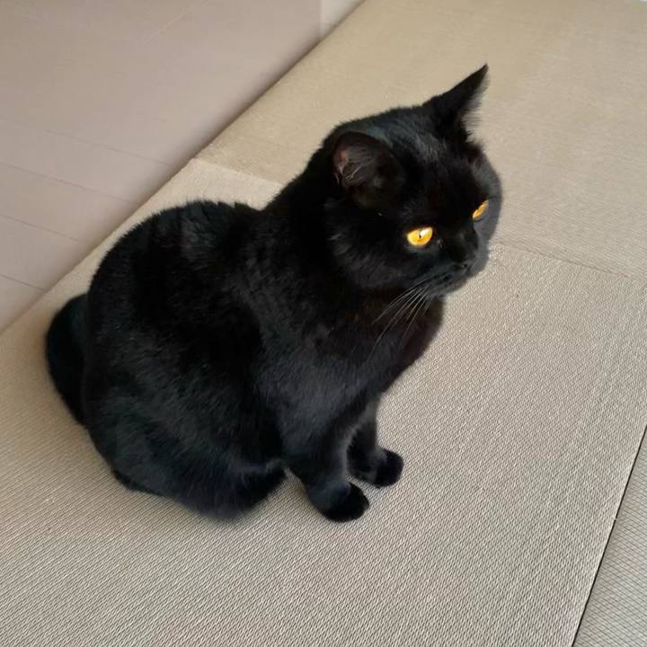 Fbbe8458 3425 4f00 a0b8 a801360c5c83 1617787077777