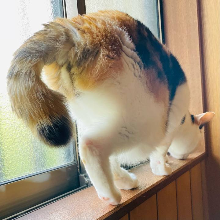 Fbbe9966 4e64 42bb bd8b bf911e426ae4 1652666330759