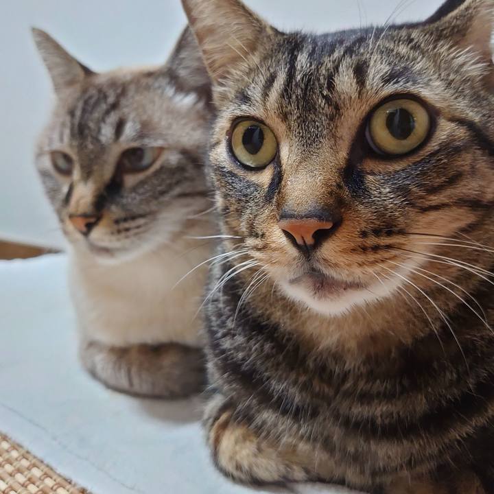 Fbbece12 c218 4182 88cf 754ddf406d53 1628942682056