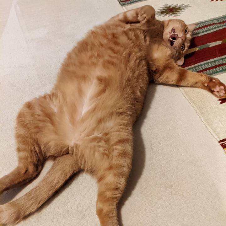 Fbbf0d03 b6f4 43a2 8f35 82fd4b5b9ca7 1657538714371