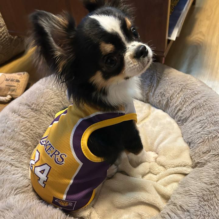 Fbbf2774 ab15 46ae 9ae4 47af851e54ce 1764279382500