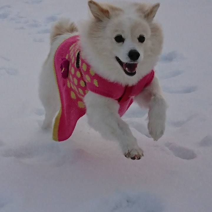 Fbbf31ec 1a71 4d2c bfad c208df8b6026 1517352948542