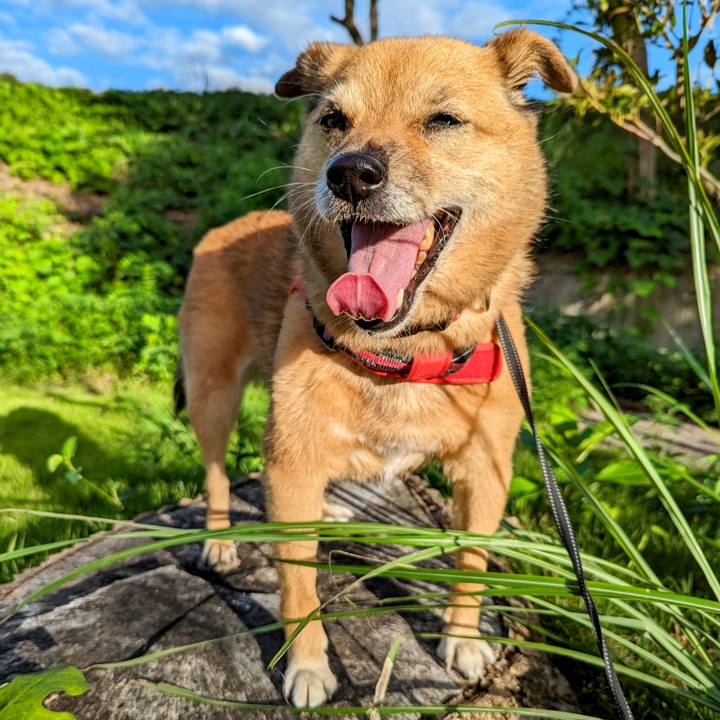 Fbbf3fcb da24 4b5a bded 846b94db69bd 1693041935866