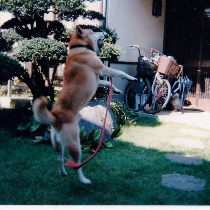 Fbbf40c2 e39a 49c1 8acd 356c171bfbe1 1753231149835