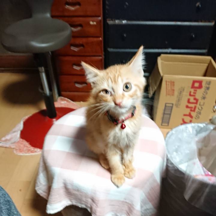 Fbbf6aa2 d398 409c 8ad1 17be963105b6 1629924576983