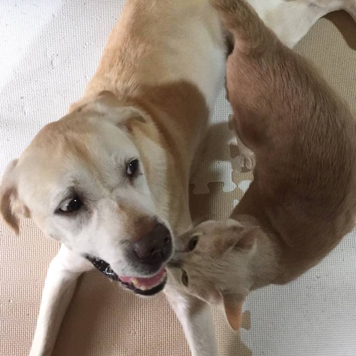 Fbbf796d 6c1f 4ff8 a5a4 fc38ffffb805 1549339023597