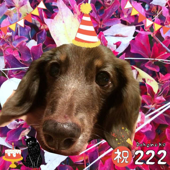 Fbbfa2bc a4d2 4e25 9b10 18422027ff5f 1645572409282