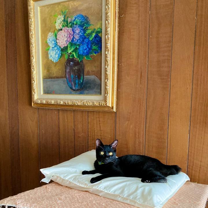 Fbbfc9c3 2602 4798 9f48 600399b33d4e 1634185539227