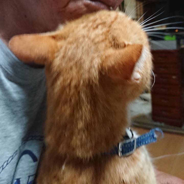 Fbbfd800 0b41 46b4 92e0 cb46452206b0 1598213875825