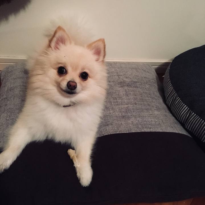 Fbbff61a e5c1 4b9b b285 8df915ea81e5 1539865745174