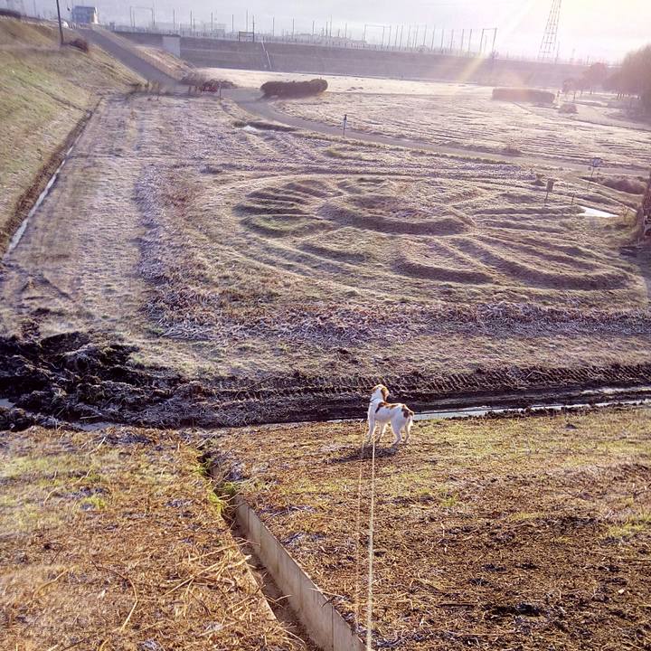 Fbc0041b 4f3c 4d0f af08 bfcf6ba56338 1516494477311