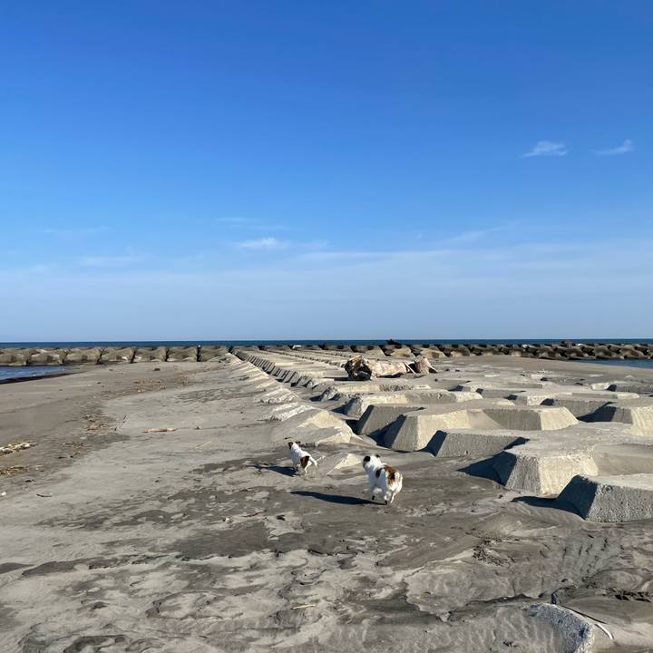 Fbc004cb b745 4a5d 83de f5f862a8c242 1681085880151