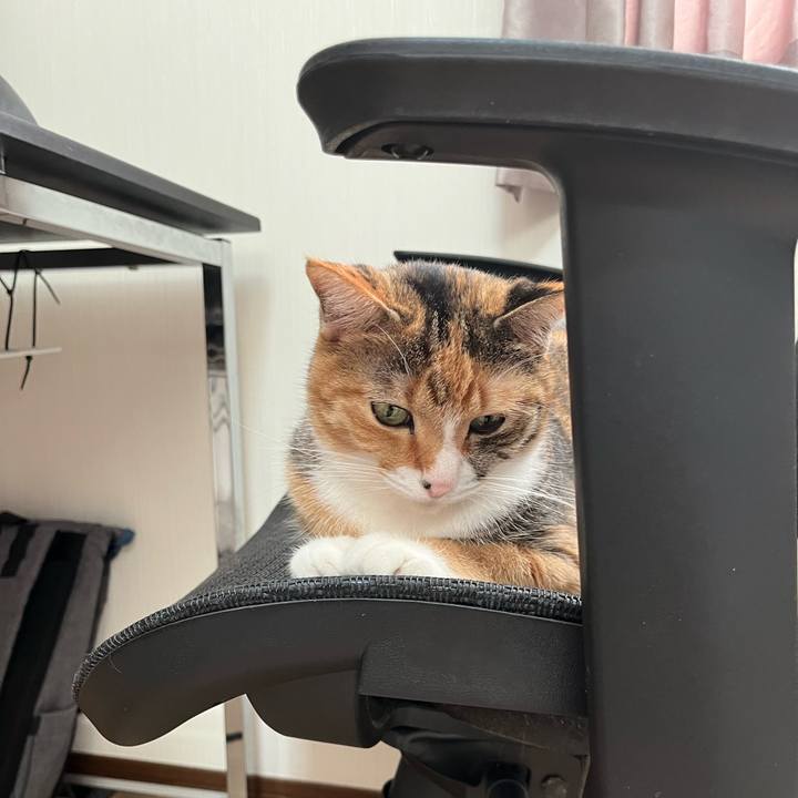 Fbc05cb2 9c1b 44bd 8303 21b7fb763a9f 1695079889391