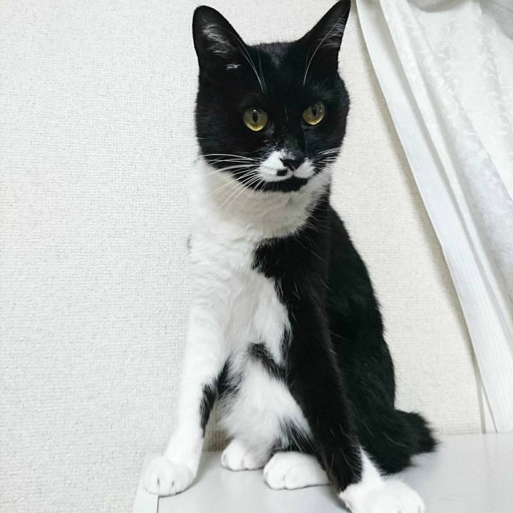 Fbc06ec2 51d0 4f73 a55d 24395e5014f7 1528687461242