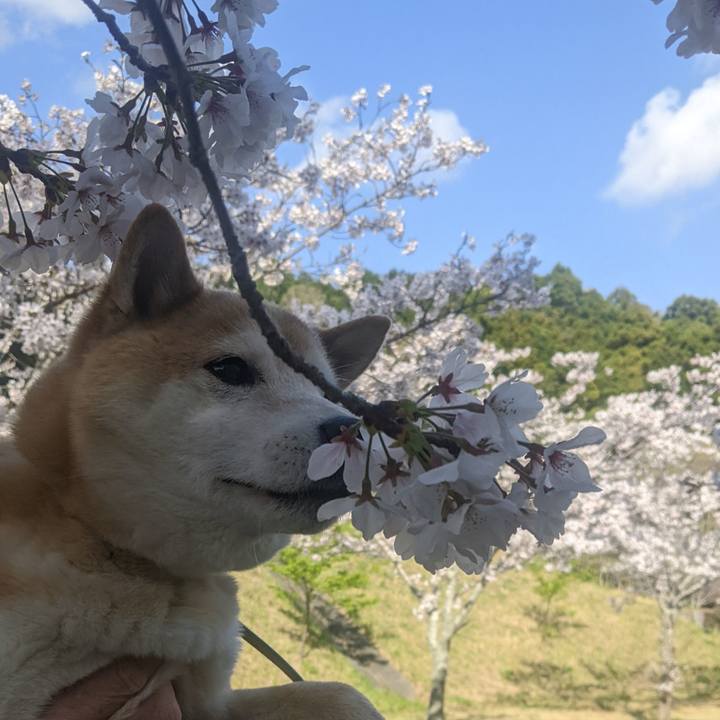 Fbc0794f e672 4863 adf5 a64c76136f66 1743772296361