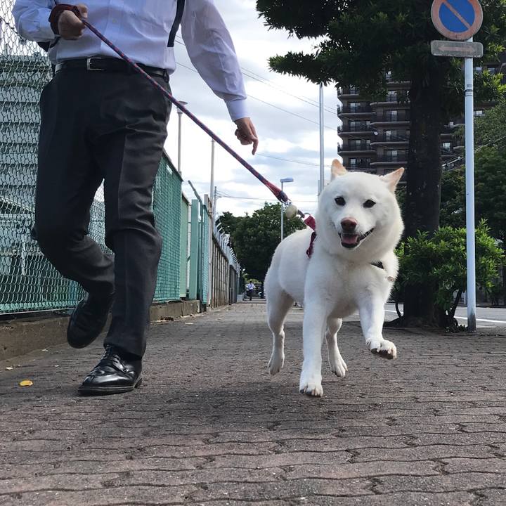 Fbc0abf0 46a5 4911 a5ae d0f97b91a4e2 1534464460567