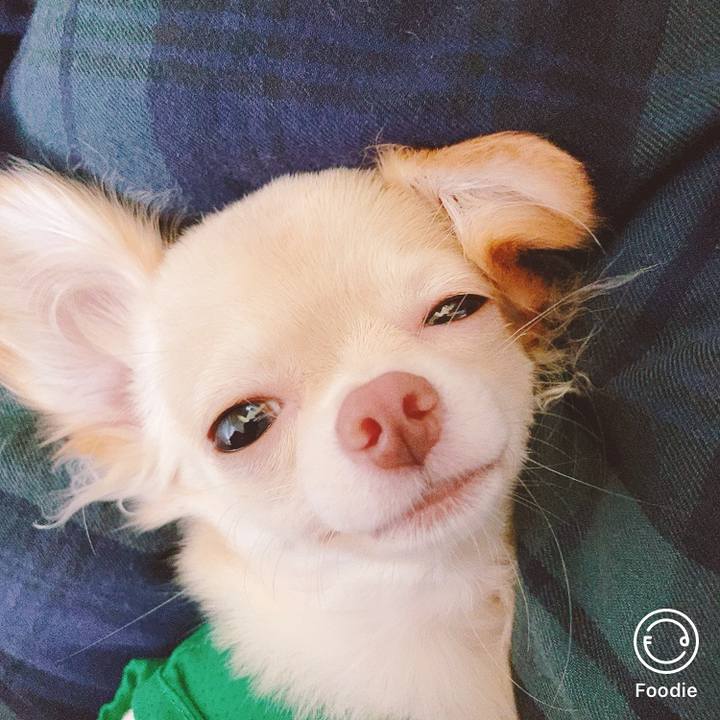 Fbc0f38e 6338 432f 83eb 24eef417e97a 1599170788491