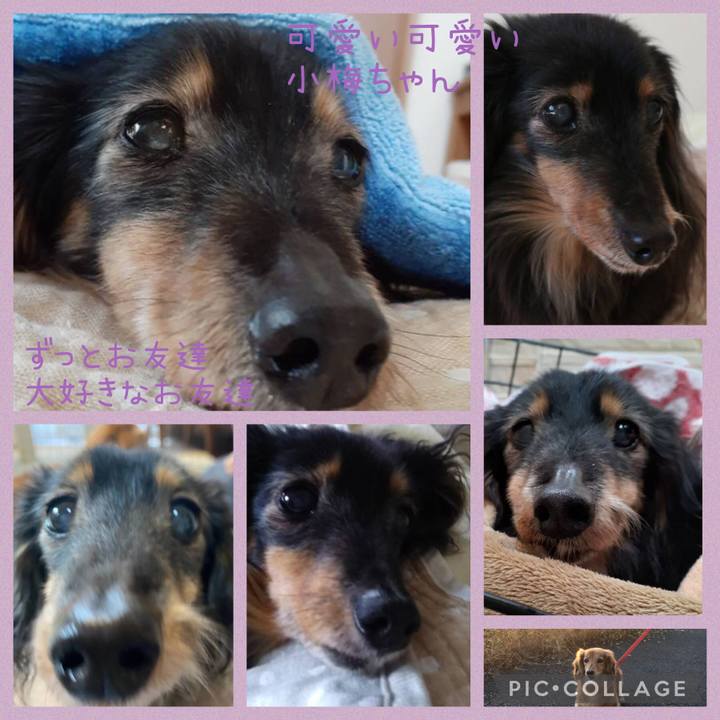 Fbc0f410 b90d 4db5 bdbb 4106bd1a54ad 1636287152755