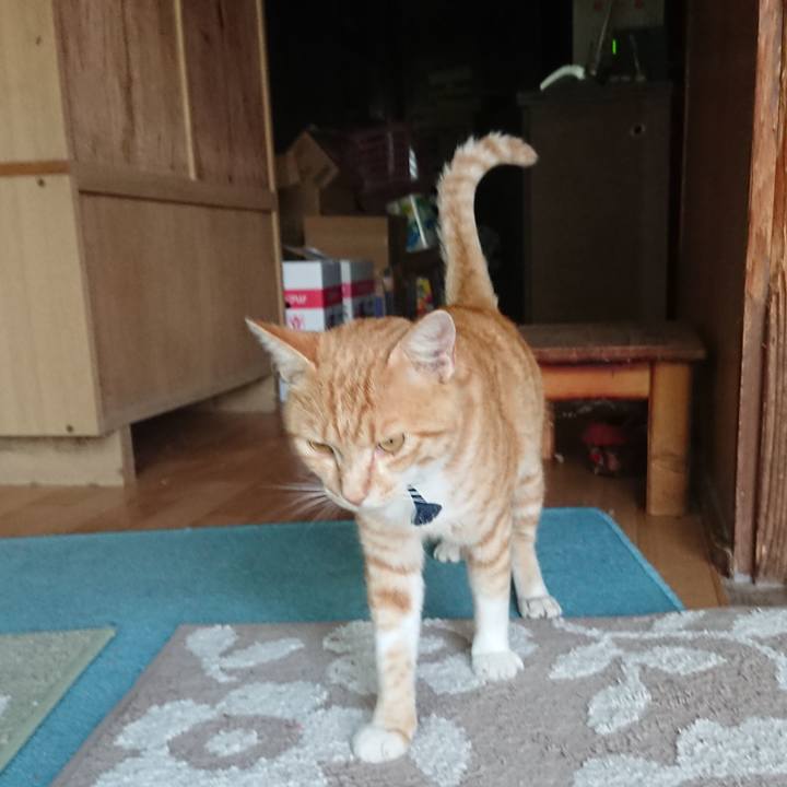 Fbc10105 8e36 4f35 8c5d ff7a4540abd9 1564391282682