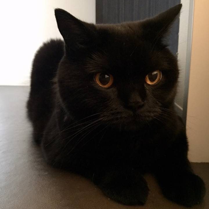 Fbc1198c f12e 45b6 888f df1f85616aed 1560509217620