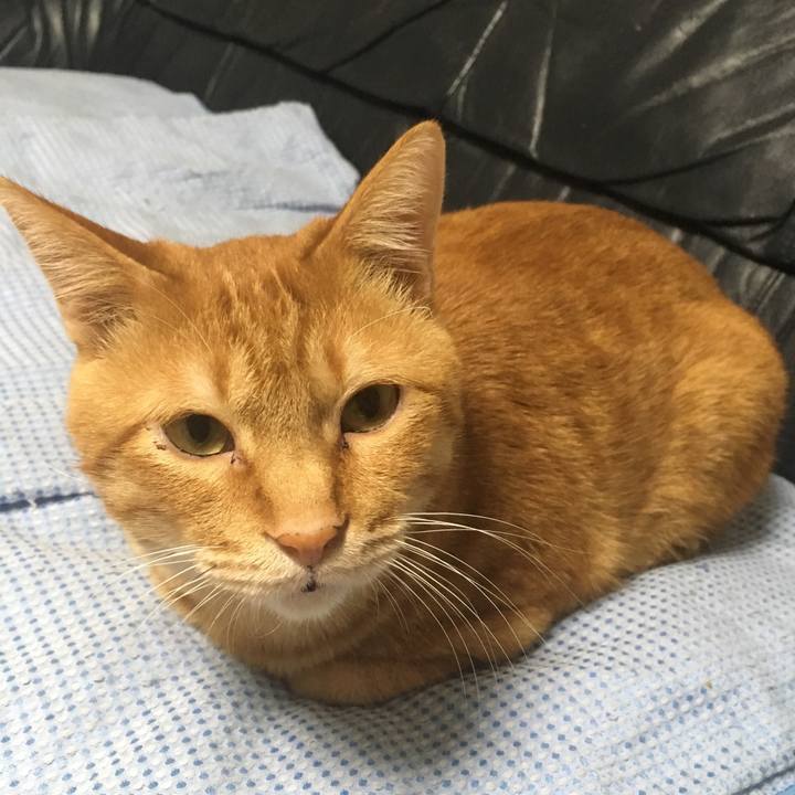 Fbc13062 917a 40b9 bb32 fc759f00ce5b 1541836222648