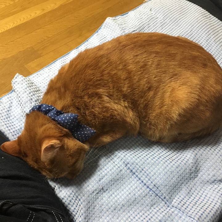 Fbc148fa 924e 4ed0 b88e 23c72c05663b 1544703179005