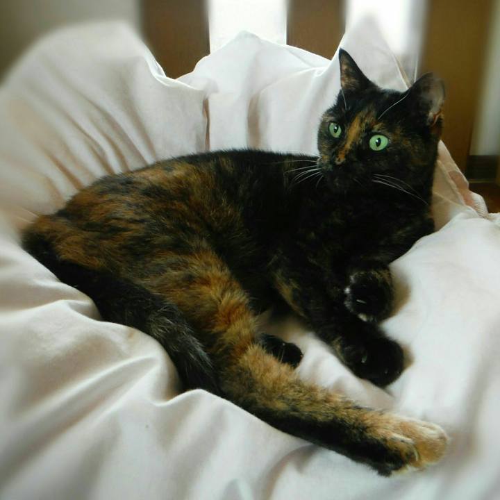 Fbc160b6 c19a 420f b373 ff9005e8b181 1568000645990