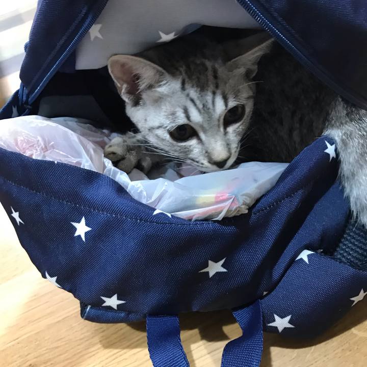 Fbc194bf a9b3 435d bb57 7d1c41e4d149 1569977304410