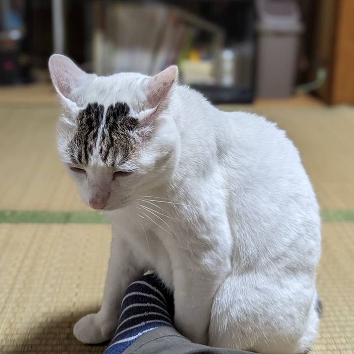 Fbc19a7d d333 459e 861d 63450b029f48 1679472849280