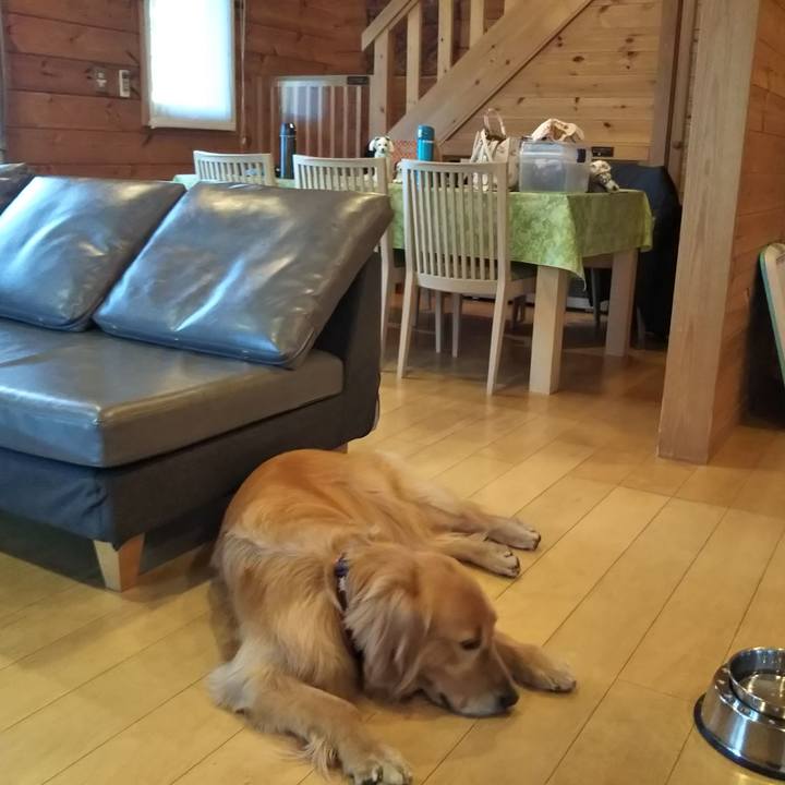 Fbc1a414 0b21 404f 876e 77f0f9df0669 1543329098183