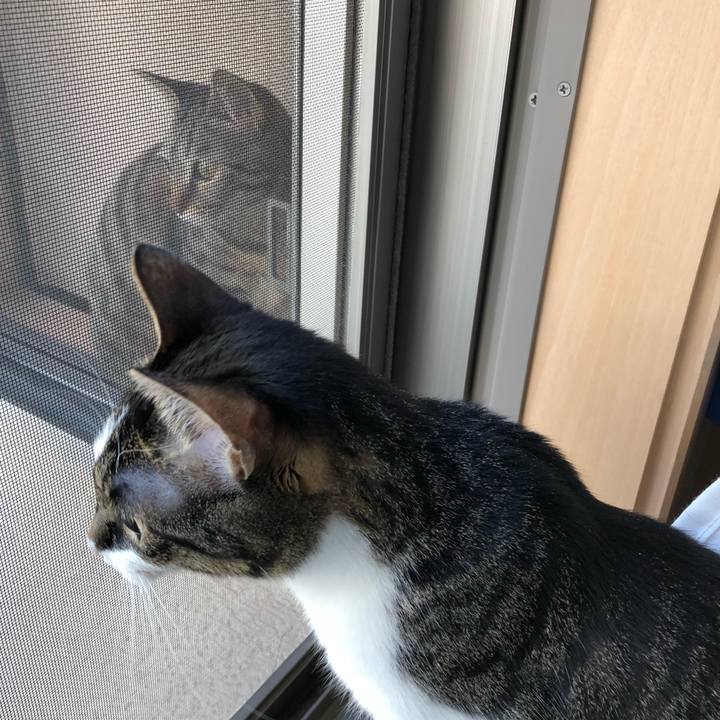 Fbc200f8 529b 4e38 a2de 0947c6c5ecf1 1522820529792