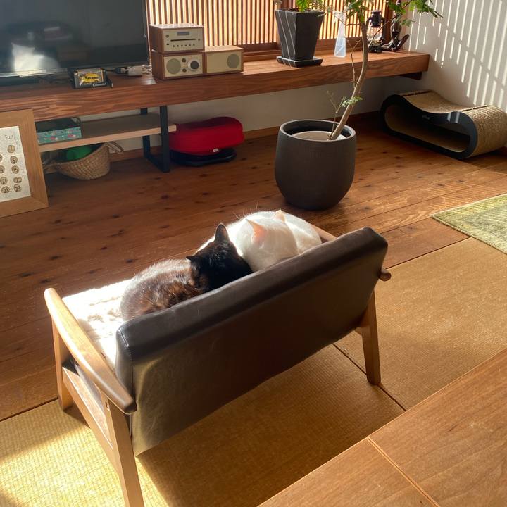 Fbc20314 8df8 4973 8a42 4b26948ab66e 1674359541223