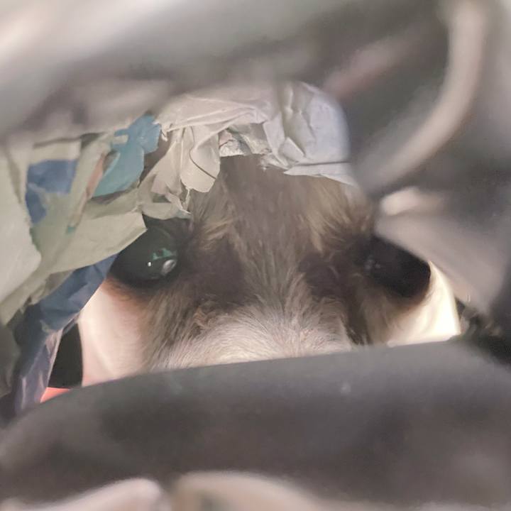 Fbc20762 aef0 4d9f b603 d2658dab18e1 1770090754884