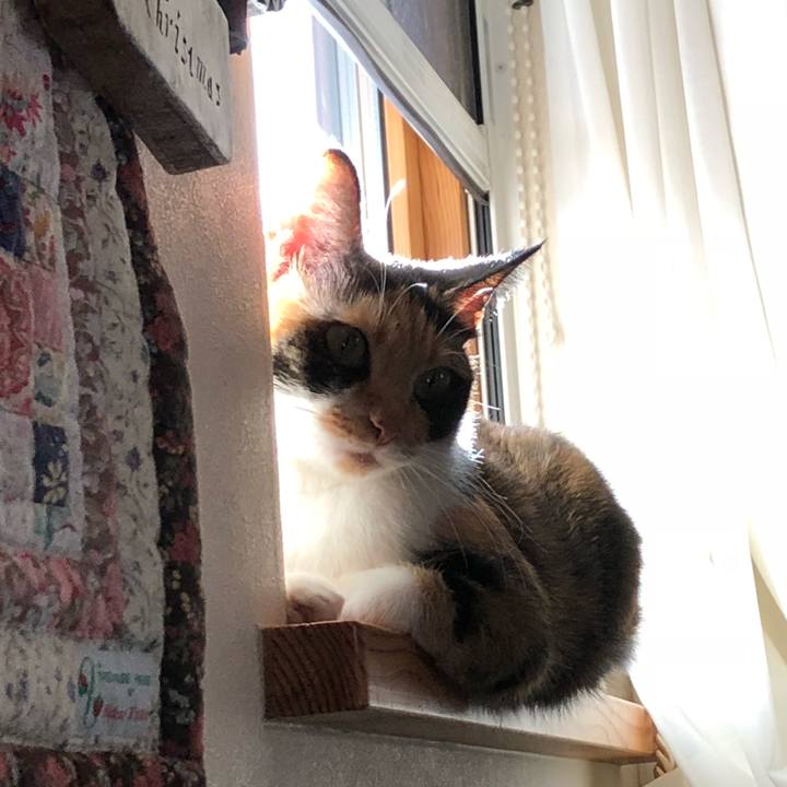 Fbc209b2 abe8 4e23 8013 2b47b02015f7 1542173349076