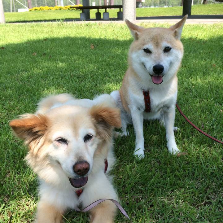 Fbc230e9 81d8 4598 8468 a62c1144ca0b 1534130534662