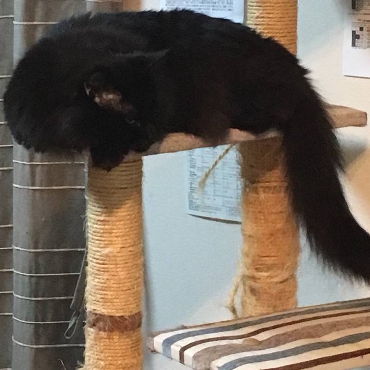 Fbc236d2 89c3 4b96 ac28 c66eef8ef307 1543919048353