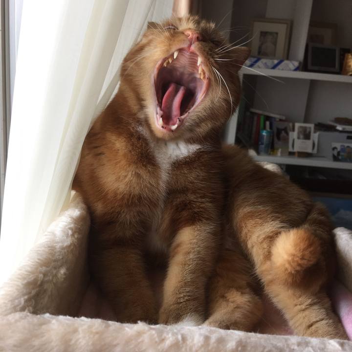 Fbc2734a 5468 461c 9e64 6cd062d4e65d 1585974040081